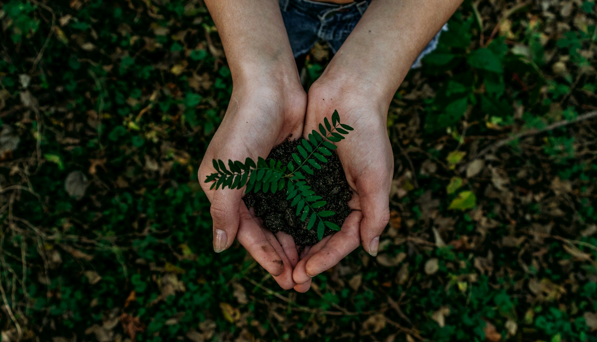 Is Your Board ESG-Literate? Why It Matters More Than Ever